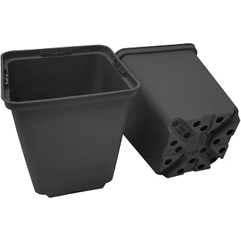 Green24 Square Planters Professional Nursery Pots Flower Pots 9x9x9.5 cm