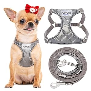 Puppytie XXS Hundegeschirr mit Leine Silber