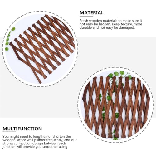 Support pour plantes grimpantes en bois résistant et esthétique - 6