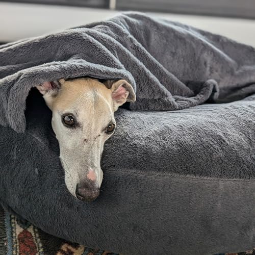 EDEL&SCHNELL Bezug grau für Hundebett Flocke, Hundebettbezug 125 cm mit Deckel, Ersatzbezug aus Kuschelplüsch
