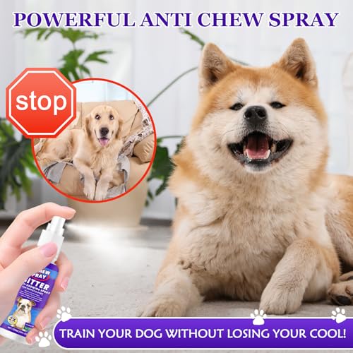 JOVIAL 2 Stück Bitterspray Hund, 240ml Anti Kau Spray, Erziehungshilfen für Hunde um das Kauen und Lecken von Möbeln, Schuhen, Bandagen zu Stoppen, Sicher für Innen- und Außenanwendung