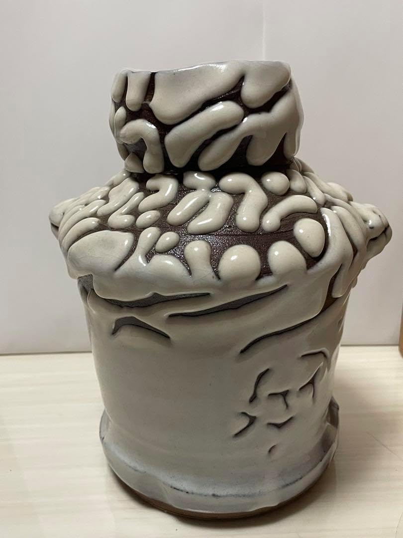 萩焼 白焼 鬼焼 椿窯 天鵬山 廣瀬淡雅 花瓶 花器 【公式通販】