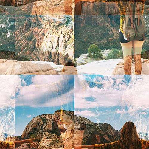 Nicotine Gum Nicotine Gum