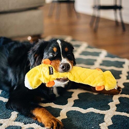 Miniatura 6 de ZippyPaws Jigglerz Zippy Paws - Juguete para perros grandes y pequeños, juguete chirriante de peluche sin relleno, juguetes interactivos chirriantes
