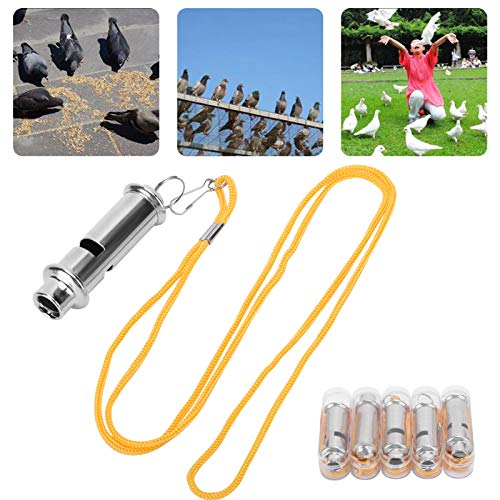 Using Gavigain Ultrasonic Whistle for Dog Training
