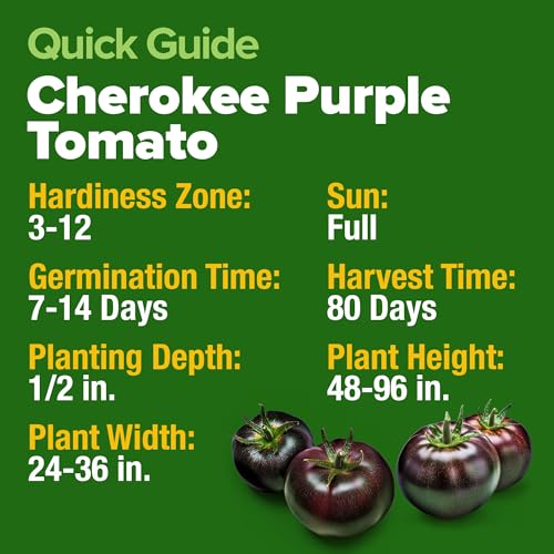 Image of HOME GROWN Cherokee Purple Tomato Seeds 212+ Heirloom Non-GMO Seeds for Planting, High Germination, Indeterminate Beefsteak, Rich Smoky Flavor, Slicing Tomato for Garden (Solanum lycopersicum)