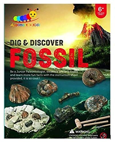 Dig and Discover Fossil Kit, Fossil Digging Kit for Kids, Early Learning STEM