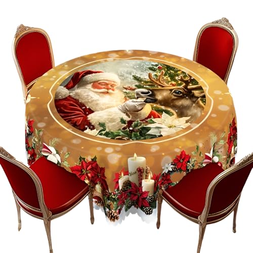 [Kawoly]yp[eB[pe[uzT^fUC ی^/`I |GXe Fh~ FlWEƑc ȒPVL΂ [ܕt Gߌ菤i ` 52x220cm