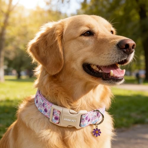 Image of ARING PET Girl Dog Collar for Puppy Small Medium Large Dogs-Purple Rose S | Cute Spring Summer Floral Pet Collars for XS S M L XL Girl Female Dogs, Soft Comfy Sturdy, Neighborhood Stroll Everyday Wear