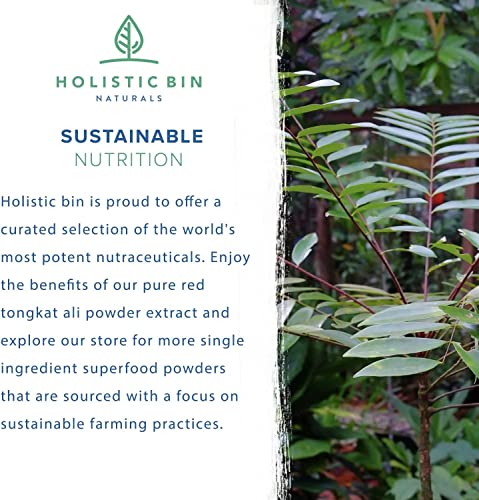 Holistic Bin Red Tongkat Ali (Stema Tuberosa) Powder | 100% Pure, Single Ingredient Powdered Longjack Extract From Indonesia | Organic Red Longjack Tongkat Ali For Men And Women | No Fillers #TOP5