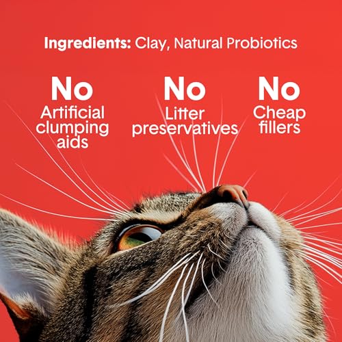 Boxie® Extra Strength 35 Day Odor Control Clumping Clay Cat & Kitty Litter 28lb, 99.9% Dust-Free, Probiotic Formula, Long-Lasting, Veterinarian Approved, Easy Scooping for Multi-Cat Homes