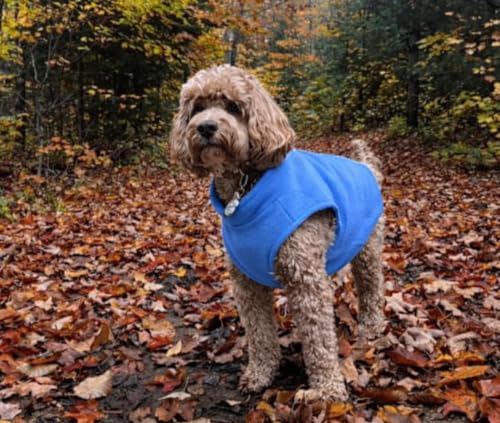 Image of JACKO & CO - Fleece Vest Dog Sweater with Leash Ring - Soft, Warm & Lightweight Pullover Coat for Small & Medium Dogs, Puppies & Cats - Cozy Fall /Winter /Spring Pet Jacket (Blue, XX-Large 25-35lbs)