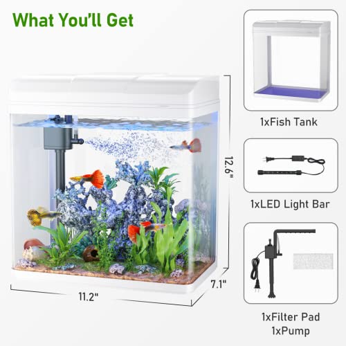 image for PONDON Fish Tank, 3 Gallon Glass Aquarium with Air Pump, LED Cool Ligh