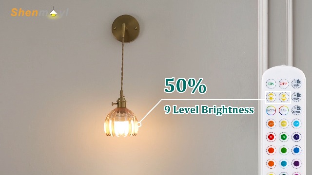 Image of Shenmoyl Battery Operated Wall Sconce with Amber Tulip Shade Pattern Glass Adjustable Chain Retro Gold Wall Mounted Light, Modern Wall Lamp Fixtures Decor for Bedside Bedroom Indoor Doorway