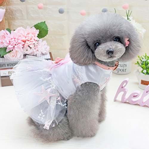 SMALLLEE_LUCKY_STORE Kleid für kleine Hunde, Hochzeitskleid, Brautjungfer, romantisches Tutu, für kleine Hunde, Chihuahua-Kleidung, Kostüme für Mädchen – Weiß, S