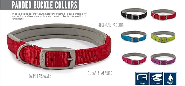 Foto 4 de 5 de Ancol Collar Tradicional de Nailon Acolchado