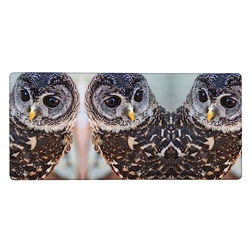 Tapis de souris chouette grand format pour sublimer votre bureau à la maison