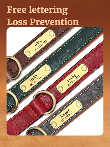 SEOUGEE Hundehalsband aus echtem Leder, personalisierbar, weich gepolstert, strapazierfähig, mit individuell graviertem Namensschild, verstellbar für kleine, mittelgroße und große Hunde (M, Braun
