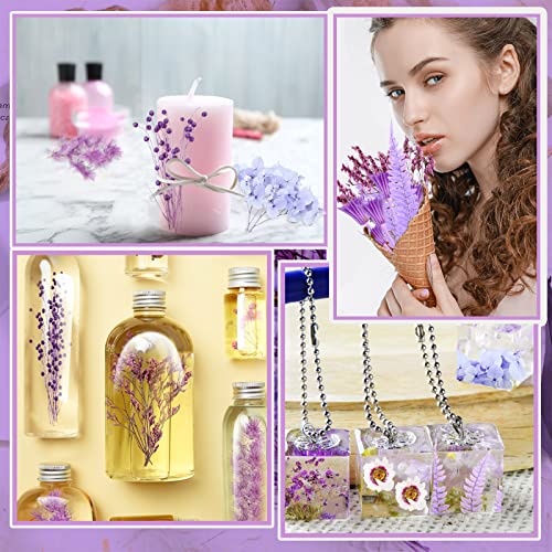 Flores secas moradas para manualidades y decoración 2 cajas miniatura 4