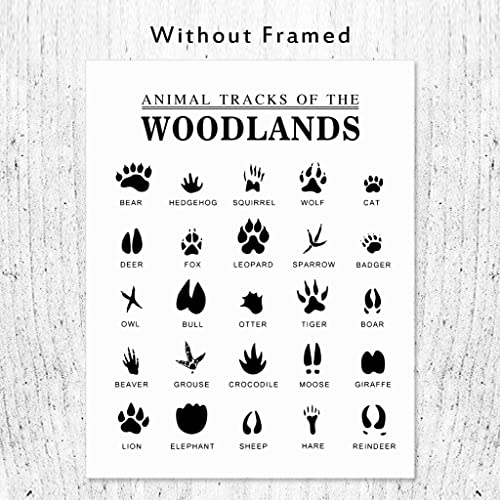 The 30 Best Animal Print Posters of 2023 [Verified] Cherry Picks