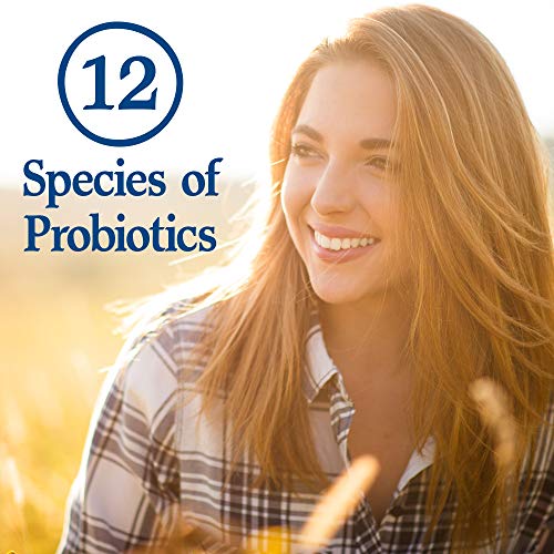 Image of Garden of Life Whole Food Probiotic Supplement - Primal Defense HSO Probiotic Dietary Supplement for Digestive and Gut Health, 2.85oz (81g) Vegetarian Powder