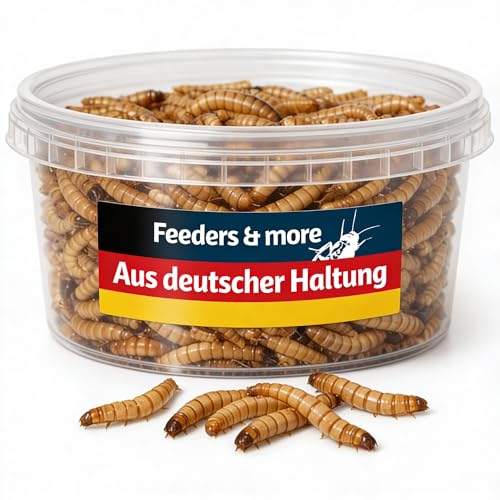 Feeders & more | 250g | Mehlwürmer lebend | hochwertige Futterinsekten | proteinreich & aktiv | ideal für Reptilien Vögel Fische & Terrarientiere