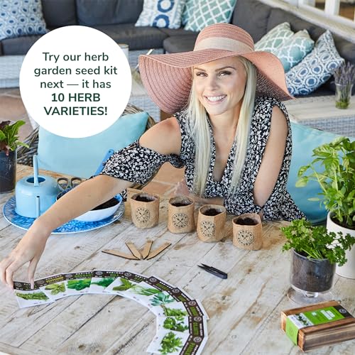 · Garden Republic · Indoor Herb Garden Starter Kit thumb #8