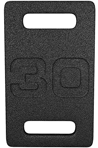 Fitvids Cast Iron Plate, Weighted Plate for Swings, Squat, Strength Training, Fitness Workout, and Home Exercises, 30-Pound