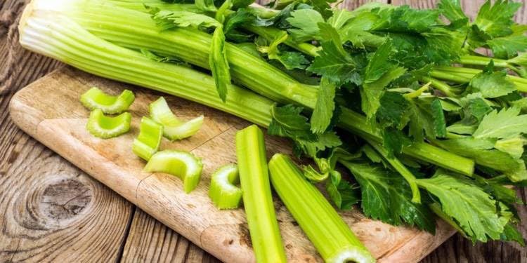 Willvine Organic Green Celery Vegetable-PAUS-8R-image-12