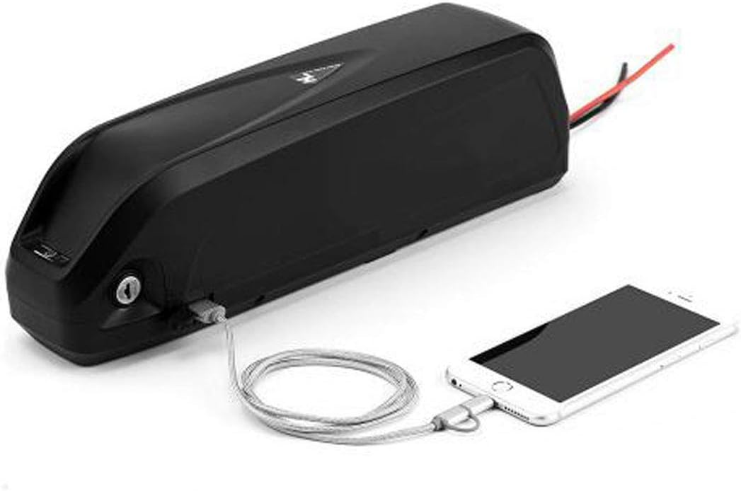 36V 13S4P Electric Bicycle Ebike Battery Box (When u Place Order,Pls be Thinking More,COZ The Goods Need u Have Professional Knowledge of Battery) (Dragon2)