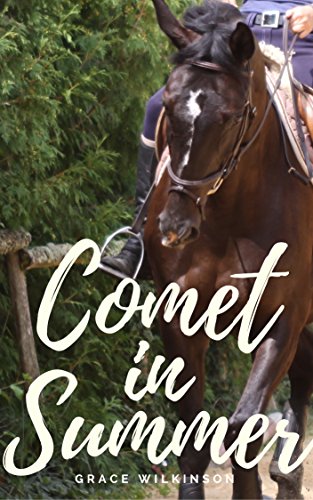 Télécharger Comet in Summer (English Edition) PDF