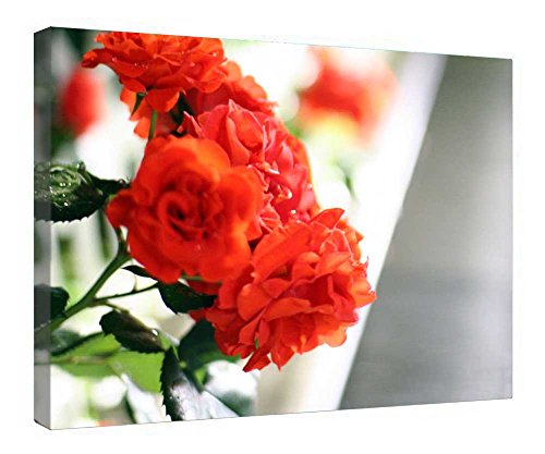 Toile roses rouges de 40x50 cm avec cadre en bois pour sublimer votre salon