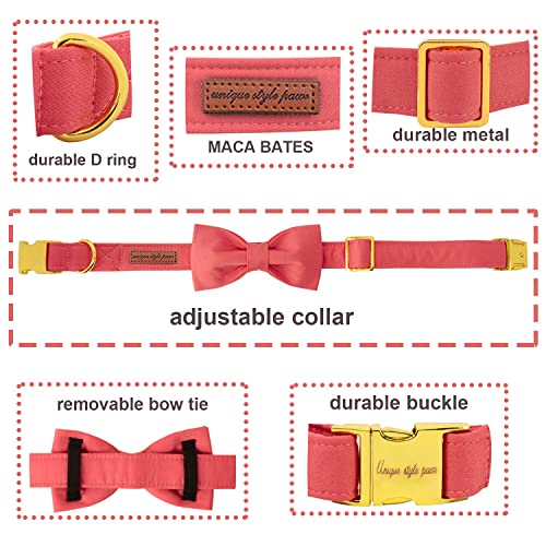 Unique style paws Dog Collar with Bowtie - Image 2