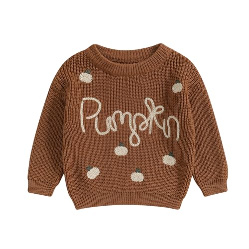 Little Kids Baby Boy Girl Halloween Pumpkin Letter Embroidery Knitted Sweaters Oversized Long Sleeve Warm Sweater