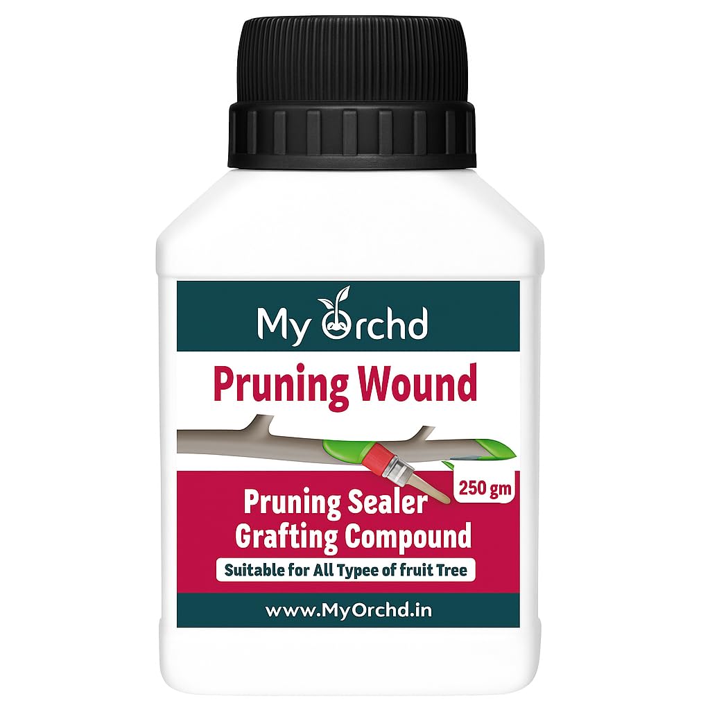 Tree Pruning Sealer – Fast-Drying Waterproof Wound Paste with Brush | Ideal for Bonsai & Fruit Trees | 250g Jar | Protects Cuts & Heals Bark Wounds (Charcoal Colour)