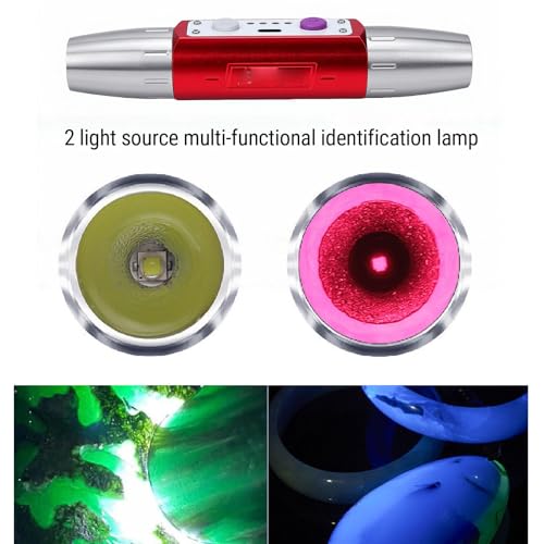 Lampe de détection Ewelry 365 nm pour expertiser vos objets d'art