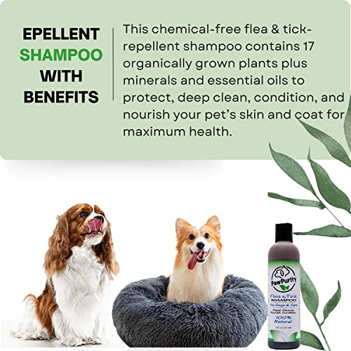 Pawpurity Flea/Tick Shampoo, Natural Plant & Mineral-Based Ingredients Only, Improves Dog & Cat Skin & Coat Health, Honeysuckle-Citrus Scent, Eco Friendly Product & Packaging Made In Usa (8Oz) #TOP2