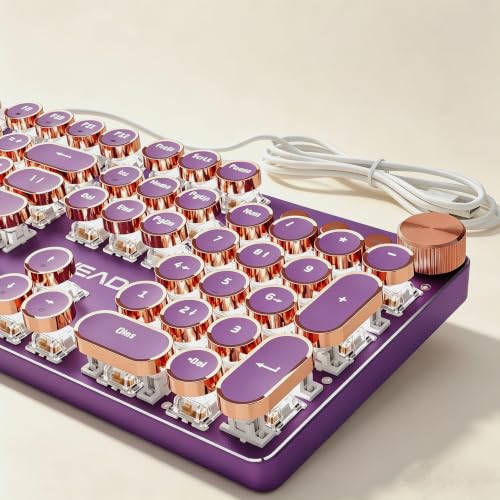 Image of EWEADN Wired Typewriter Mechanical Keyboard, Low Noise Pink Switch Retro Punk Keyboard with Media Knob, White Backlit, Metal Panel, 104-Key Round Keycaps Cute Keyboard for Windows PC -Purple