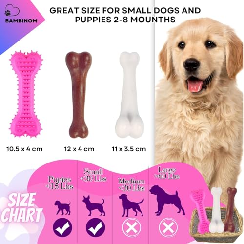 3-Pack Juguetes Mordibles para Perros de Caucho y Nylon miniatura 2