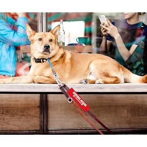 Rescue I Need Space Funny Red Dog Leash Sleeve Wrap Dog Walking Accessory  Pet Birthday Gift  Gift for Dog Owner and Lover  Cucciolini Doodles Rescue i need space funny red dog leash sleeve wrap dog walking accessory  pet birthday gift  gift for dog owner and lover   cucciolini doodles