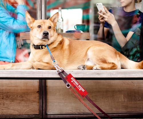 Rescue I Need Space Funny Red Dog Leash Sleeve Wrap Dog Walking Accessory  Pet Birthday Gift  Gift for Dog Owner and Lover  Cucciolini Doodles Rescue i need space funny red dog leash sleeve wrap dog walking accessory  pet birthday gift  gift for dog owner and lover   cucciolini doodles