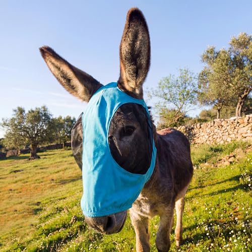 Yeyeplum Mini Donkey Fly Mask Stretchy Breathable Mule Mask with Big Mesh Eye Covers Without Ears Soft on Skin Comfortable Breathable Protection from Insects and Bugs