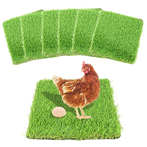 12 Best Bedding For Hens