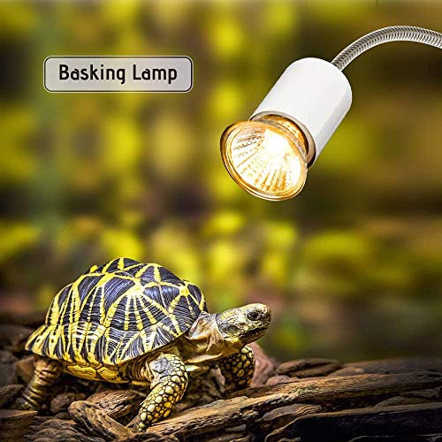 Decdeal Schildpad, warmtelamp voor aquarium, reptiel, met clip, 25 W, 360 graden draaibaar - Afbeelding 3