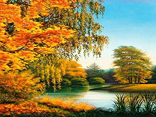 Peinture au diamant 5D pour créer une ambiance zen dans votre salon avec ce paysage