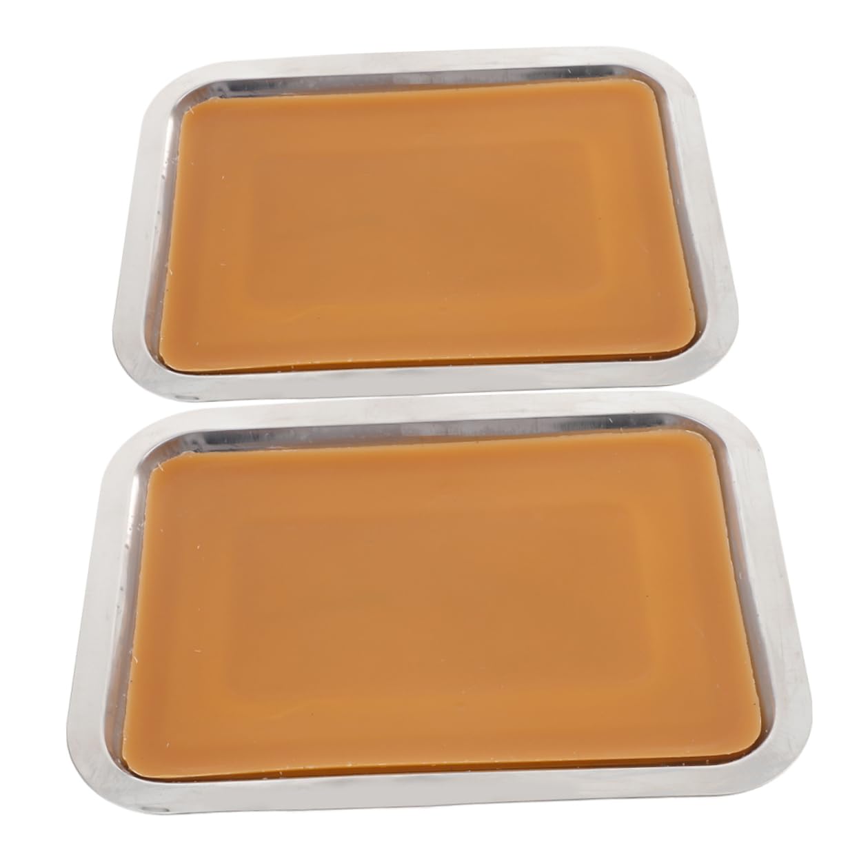 BESTonZON2pcs Metal Dissection Pan Wax Lab Tray Versatile Dissection Tool Metal Wax Organizer Tray for Teaching and Research
