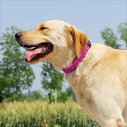 TDTOK-Glittering-Basic-Dog-Collar-Comfy-Durable-Dog-Collar-for-Small-Medium-Large-Dogs-with-Eco-Friendly-Plastic-Buckle-Adjustable-Stylish-Nylon-Dog-Collars-Fit-Necks-98-224-M-Rosy