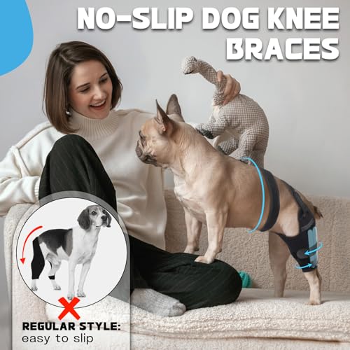 Image of Adjustable Dog ACL Knee Brace - Rear Leg Support for Cruciate Ligament Recovery, Arthritis & Joint Pain Relief (Left,XL)