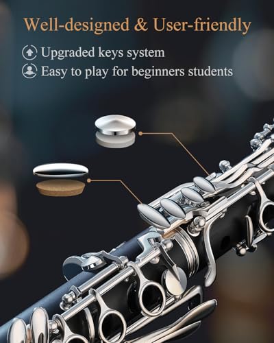 Image of Eastar Upgraded Bb Ebonite Clarinet Intermediate, Silver, Full Kit, ECL-400