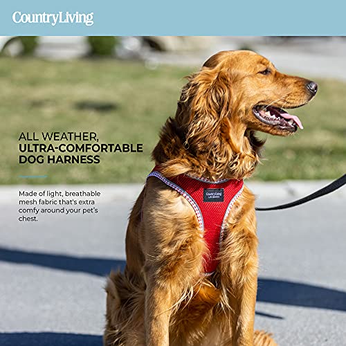 Silver Paw No Pull Dog Harness For Small To Large Dogs - Soft Padded Dog Cooling Vest | Dog Clothes Accessories For Training, Walking, Jogging, Or Running - Red, 4Xl #TOP3